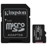 Kingston Canvas Select Plus SDCS2/256GB